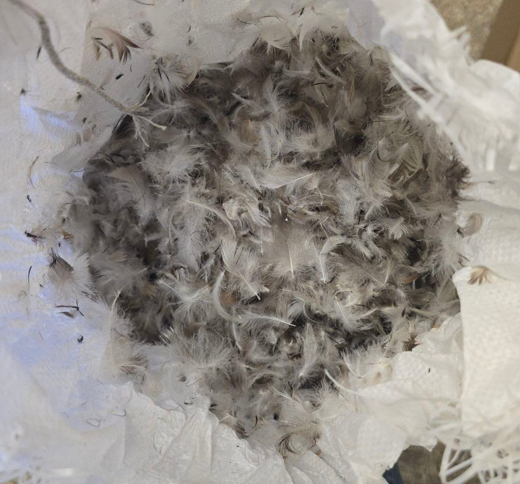 Bulk product of 10/90 goose down and goose feather in gray