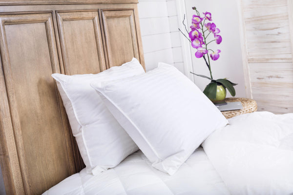 Premium White Goose Down luxury Pillow, 550 Fill Power. - Continental Bedding