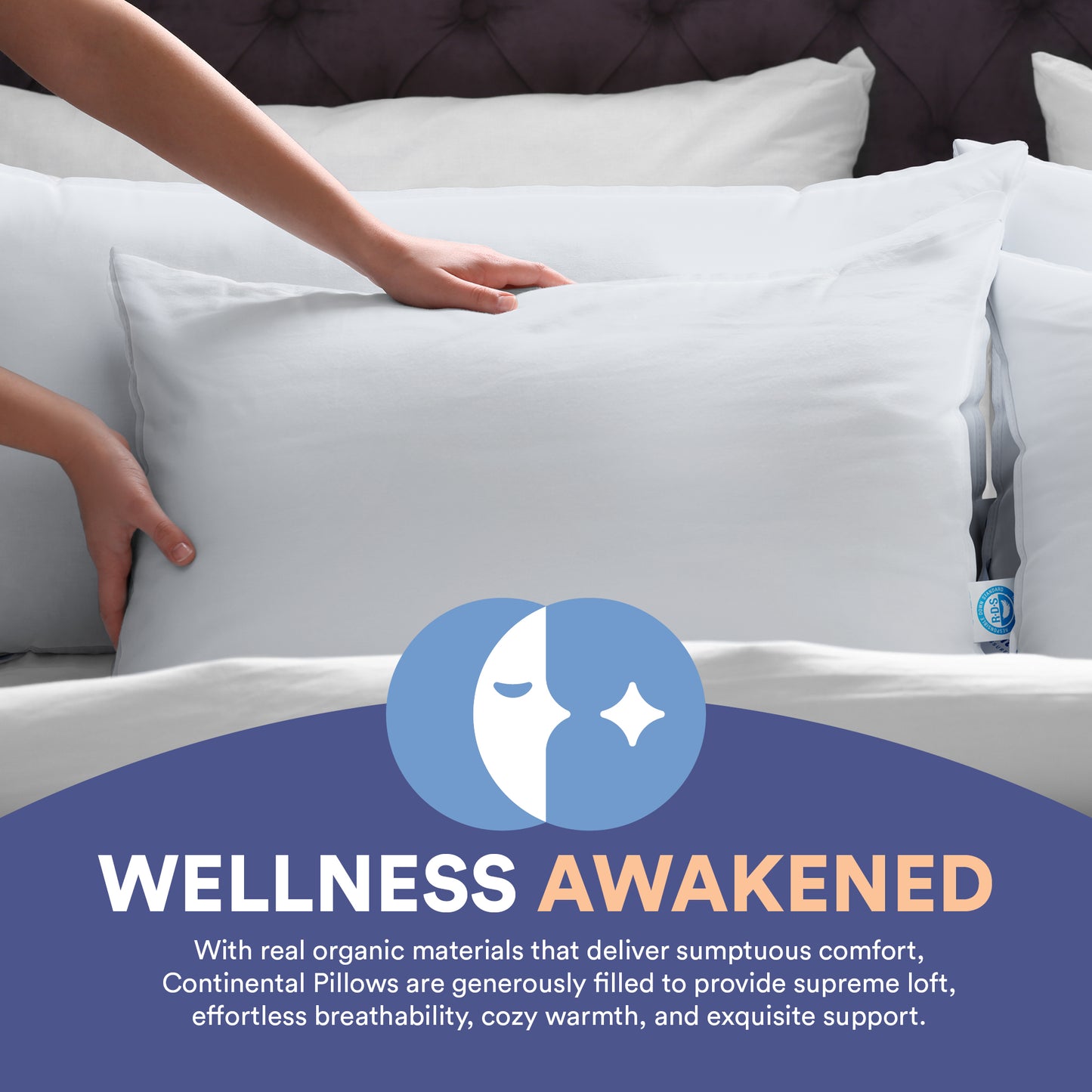 Bed setup with Continental pillows, emphasizing wellness with organic materials that offer supreme comfort and support for various sleeping positions.