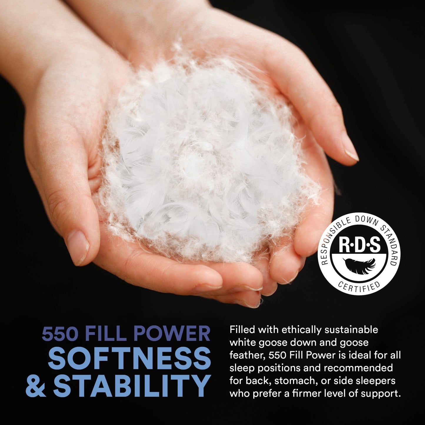 Close-up of a hand holding a cluster of 550 fill power white goose down and feather blend, demonstrating the pillow's softness and stability.
