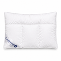 4-Chamber Down Pillow