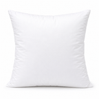 Down and Feather Throw Pillow Inserts
