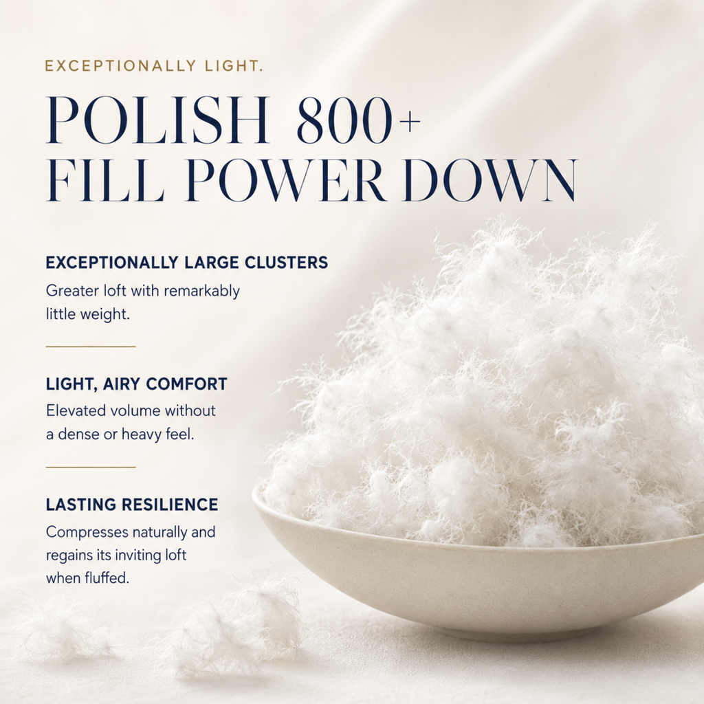 Polish Collection 800+ Fill Power Polish White Goose Down Pillow
