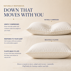 Harmony Collection 550 Fill Power White Goose Down Pillow