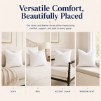Down and Feather Throw Pillow Inserts