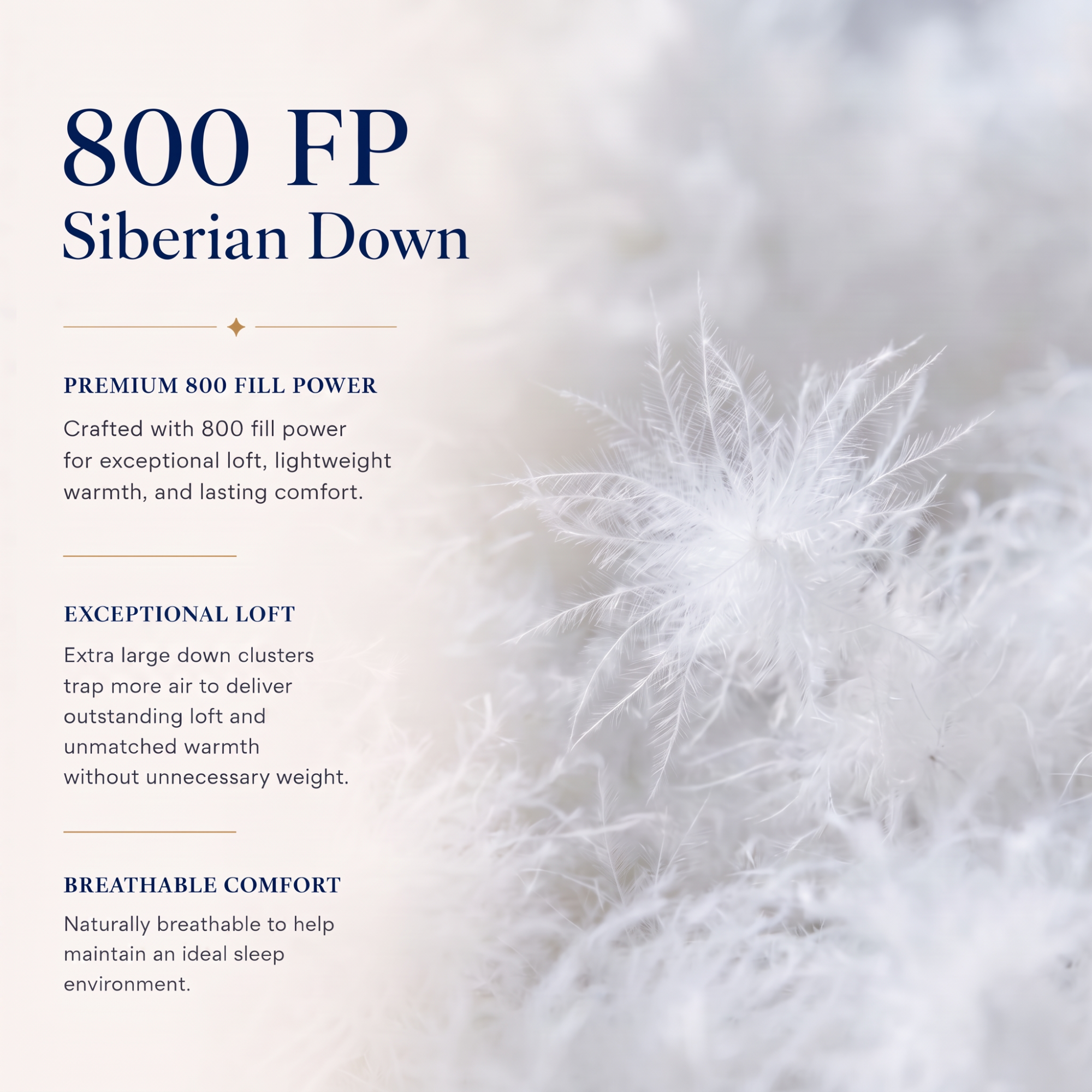 Siberian Collection 800 Fill Power White Goose Down Comforter