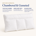 4-Chamber Down Pillow