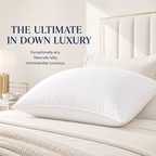 Polish Collection 800+ Fill Power Polish White Goose Down Pillow