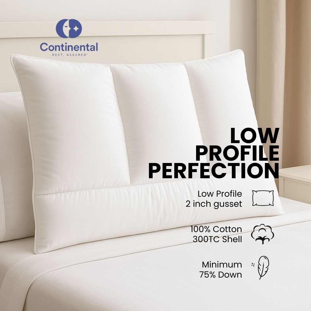 Continental Bedding 3-Chamber Down Pillow | Ergonomic Support with 2" Gusset, 75% Down Fill