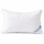 Harmony Collection Toddler Down Pillow