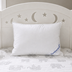 Harmony Collection Toddler Down Pillow