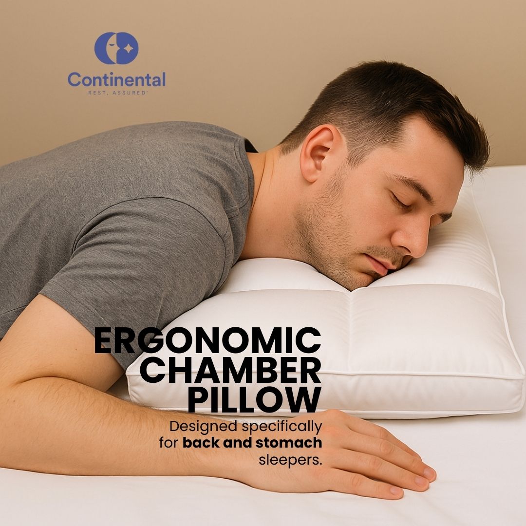 Continental Bedding 3-Chamber Down Pillow | Ergonomic Support with 2" Gusset, 75% Down Fill