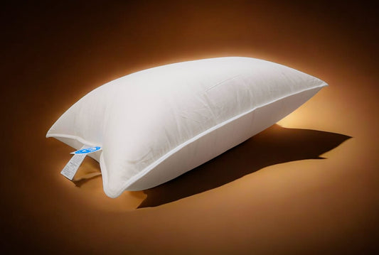 Premium Polish goose down pillow with cotton shell, softly lit against a warm brown background with visible product tags.








